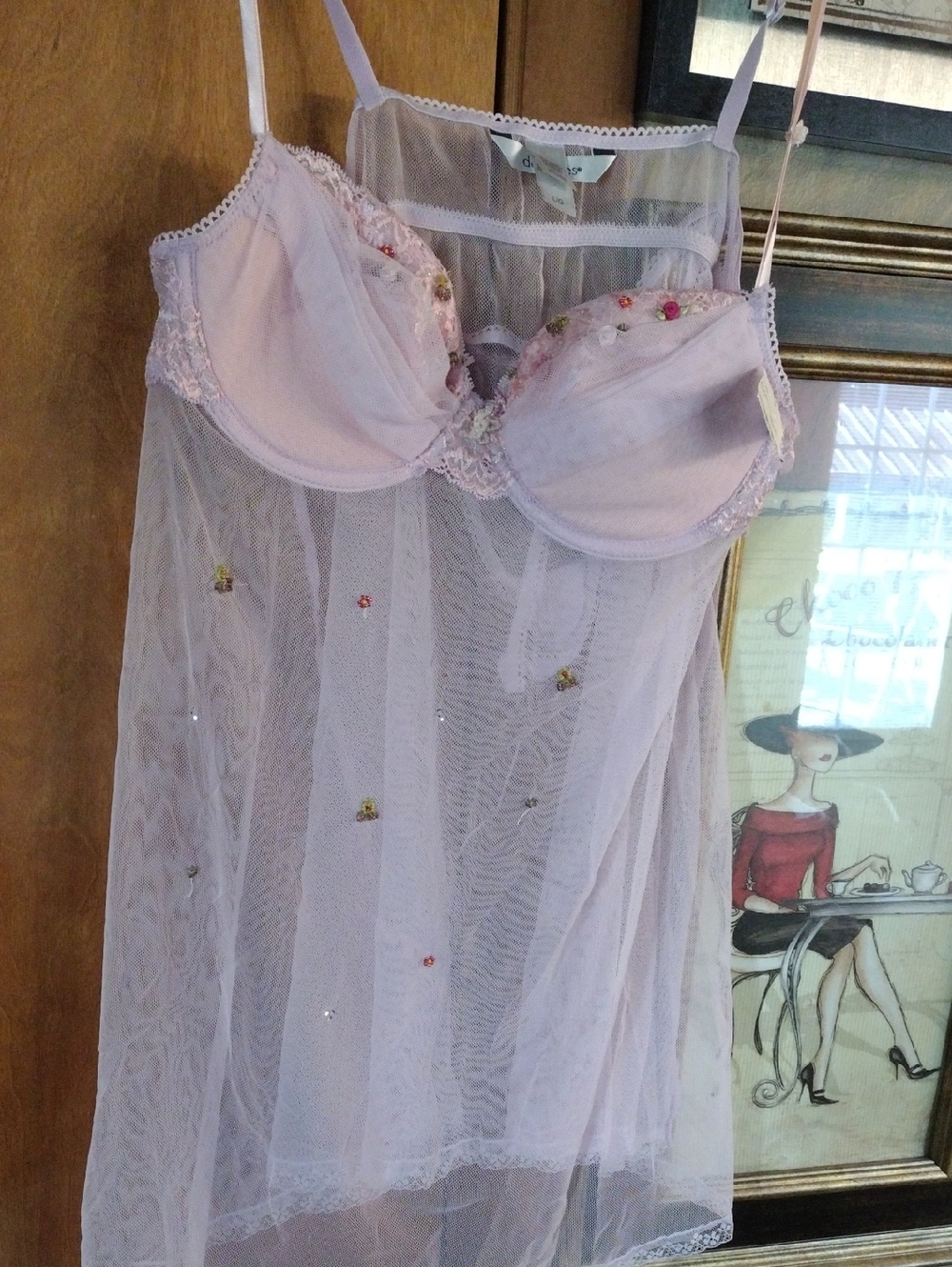 Sheer Pink Embroidered Babydoll Chemise - Women Intimates
